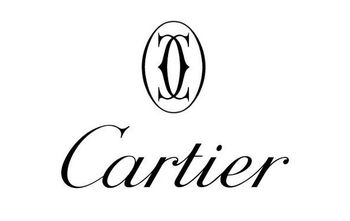 cartier supply and rentals ltd ottawa